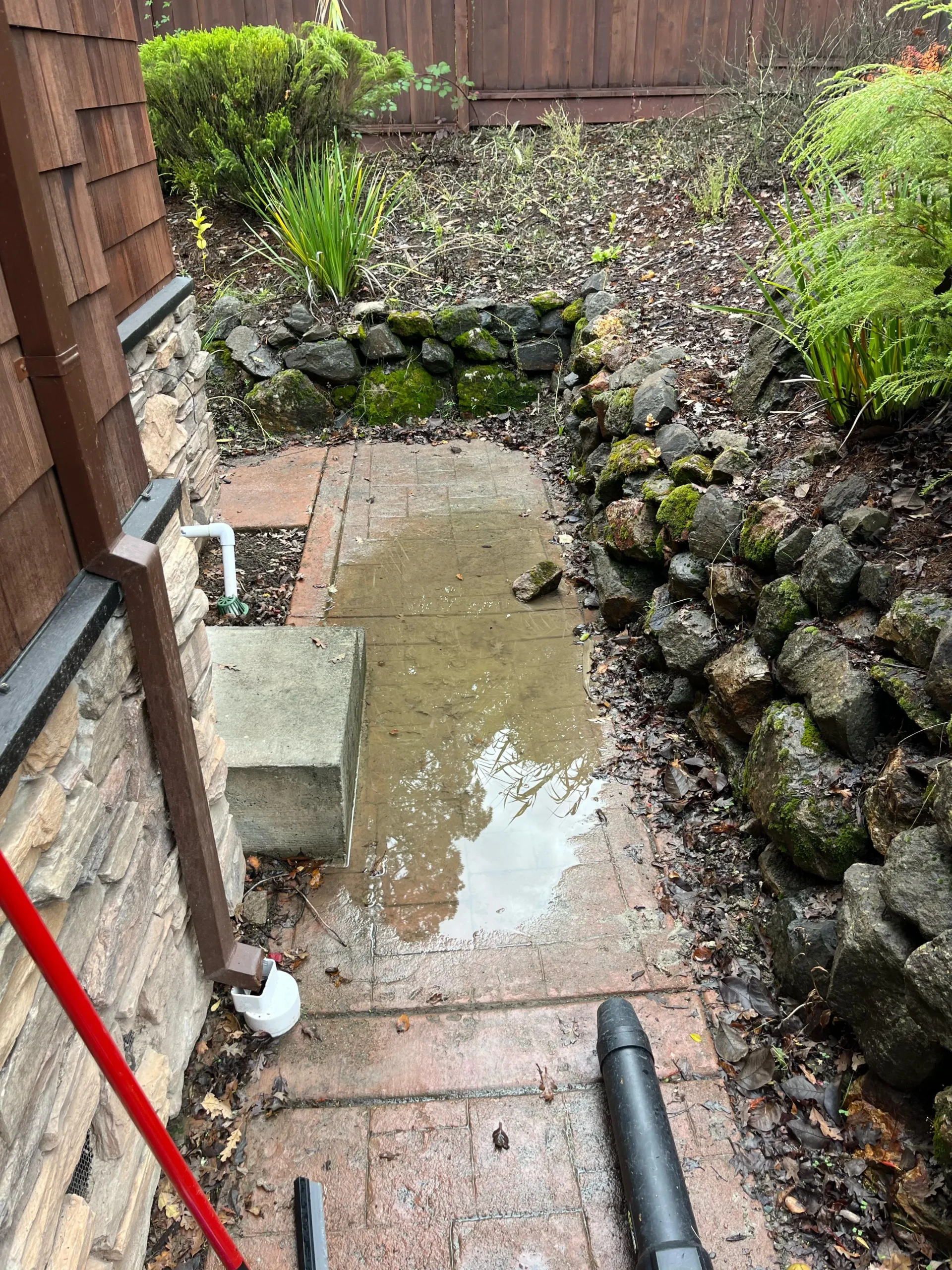 WhatsApp Image 2025-05-02 at 15.34.19_11_11zon