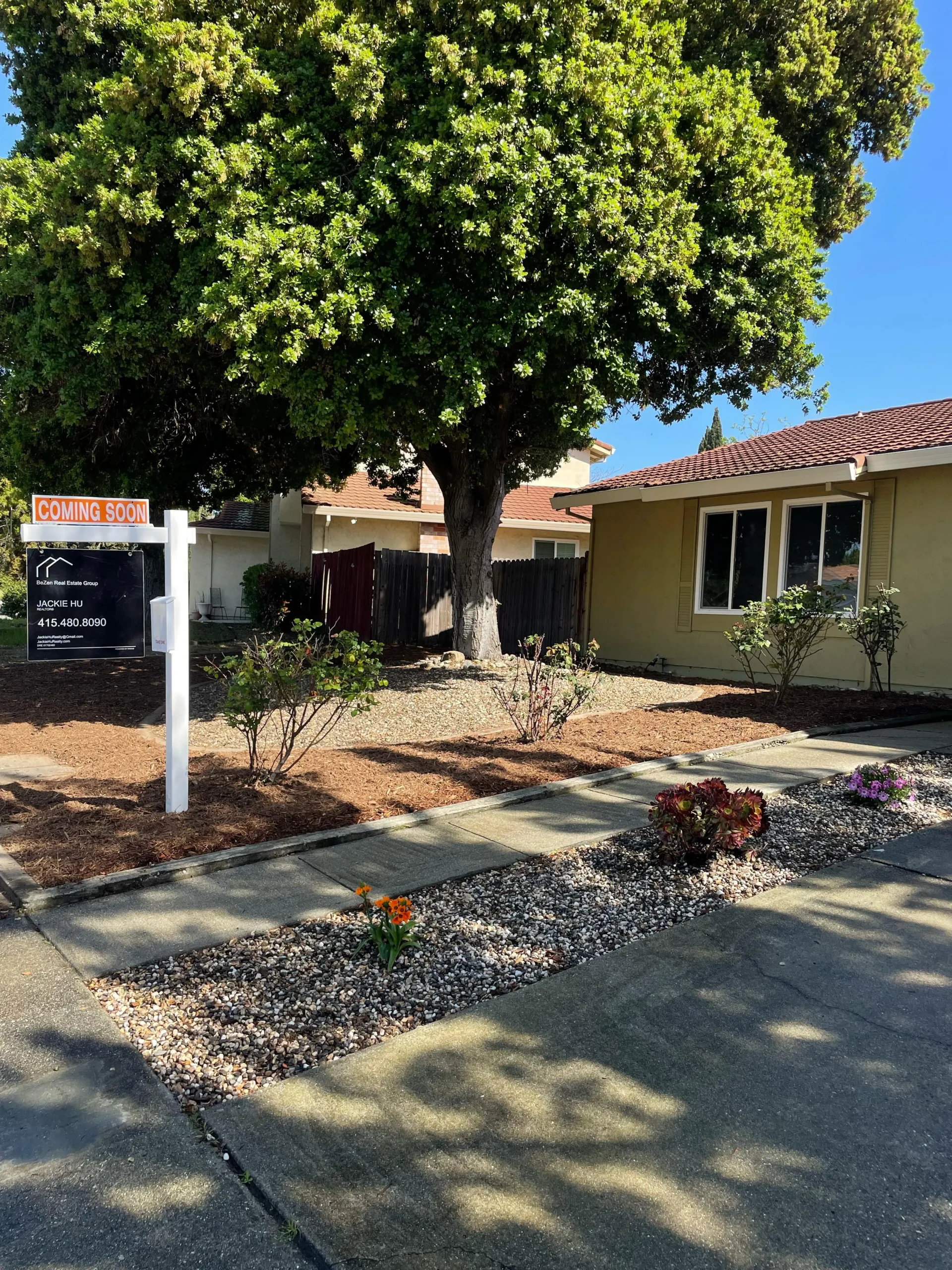 WhatsApp Image 2025-05-02 at 15.34.48_13_11zon