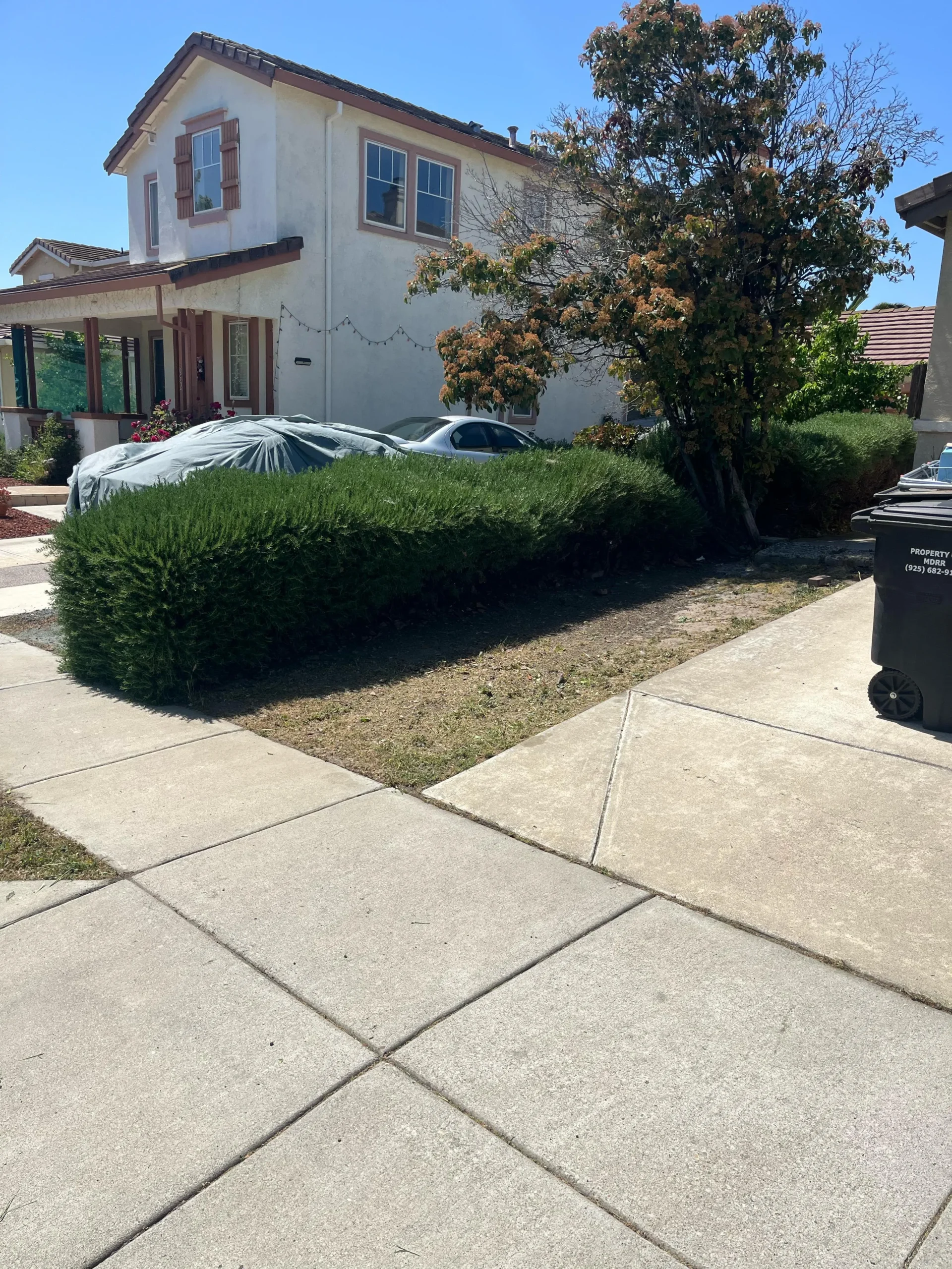 WhatsApp Image 2025-05-02 at 15.35.17 (4)_22_11zon