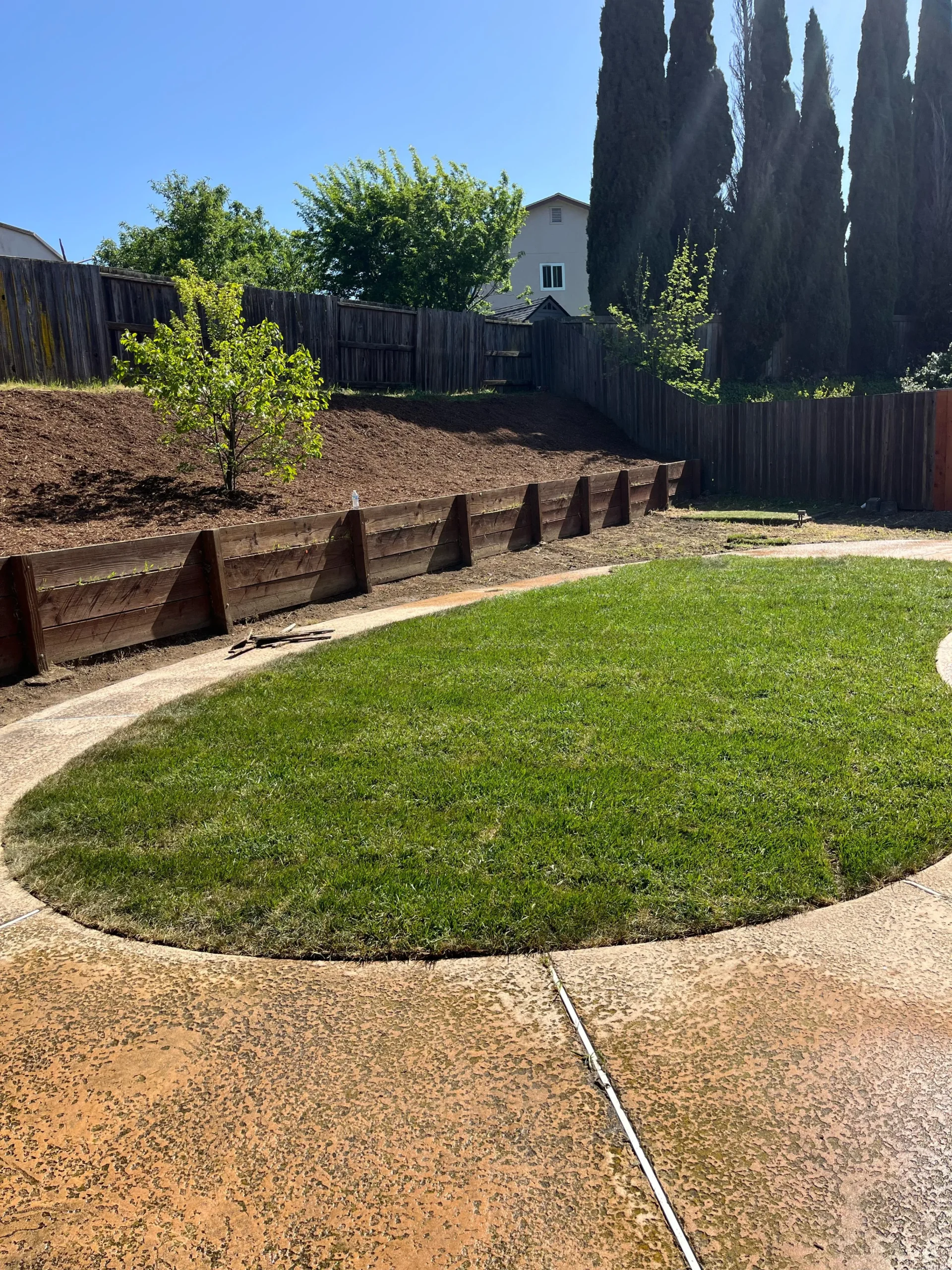 WhatsApp Image 2025-05-02 at 15.35.29 (2)_26_11zon